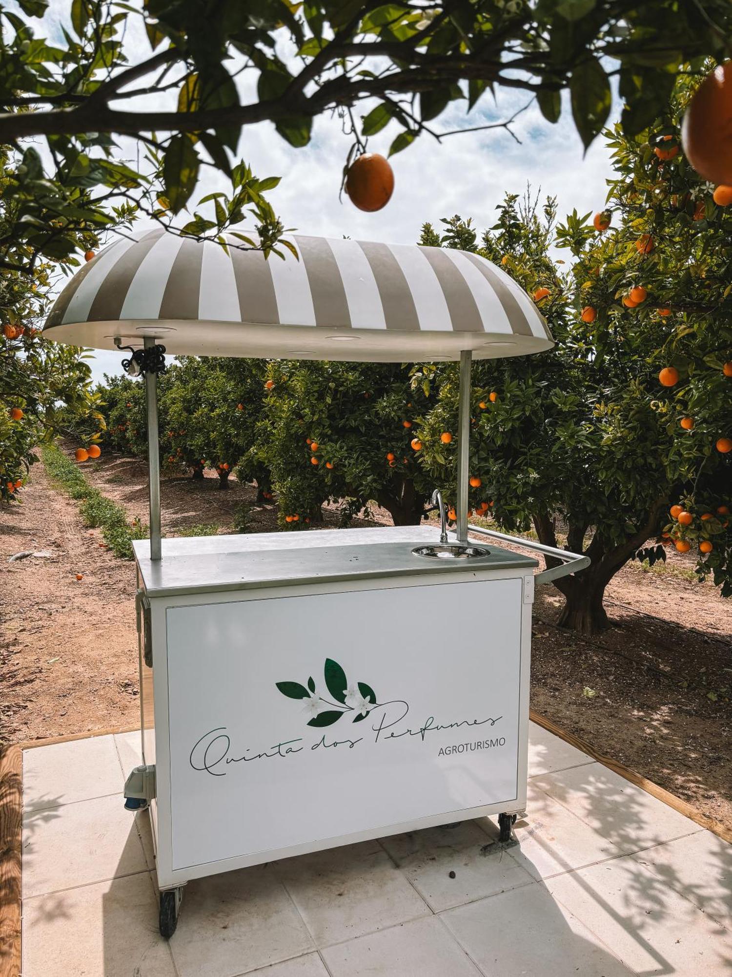 Quinta Dos Perfumes Villa Tavira Kültér fotó
