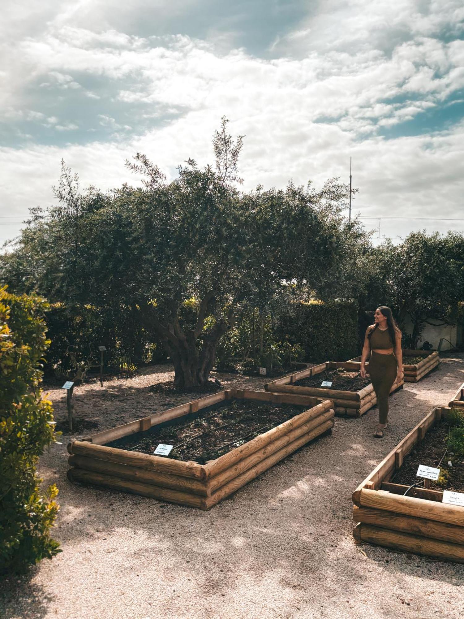 Quinta Dos Perfumes Villa Tavira Kültér fotó