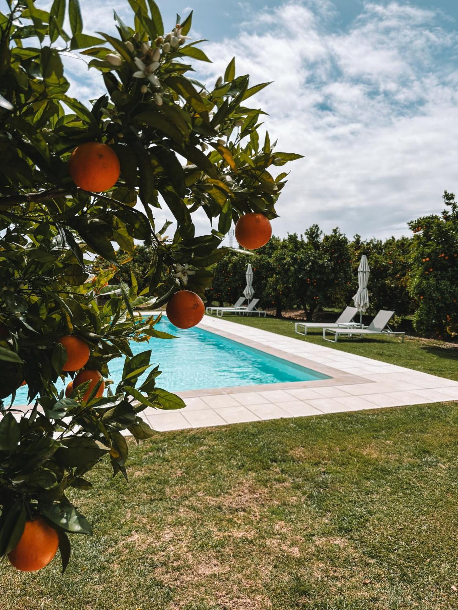Quinta Dos Perfumes Villa Tavira Kültér fotó