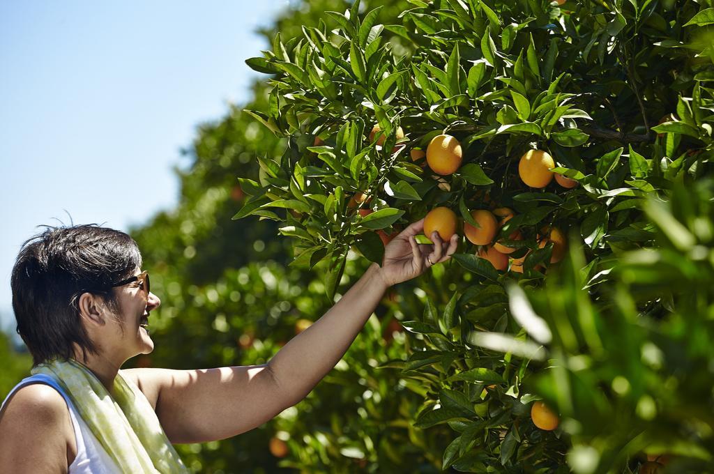 Quinta Dos Perfumes Villa Tavira Kültér fotó